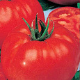 Томат Эффект